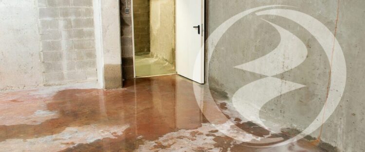 What Happens When You Don’t Remove Water From Your Basement? image