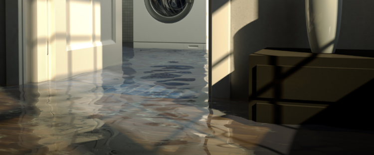 Basement Sumps image